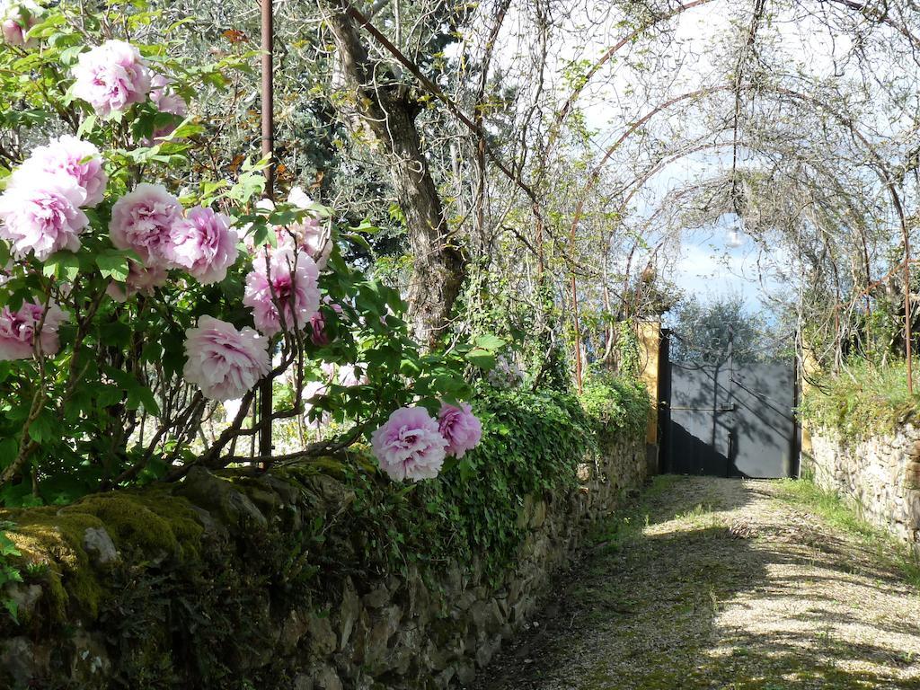 インプルネータ Il Casaloneヴィラ エクステリア 写真